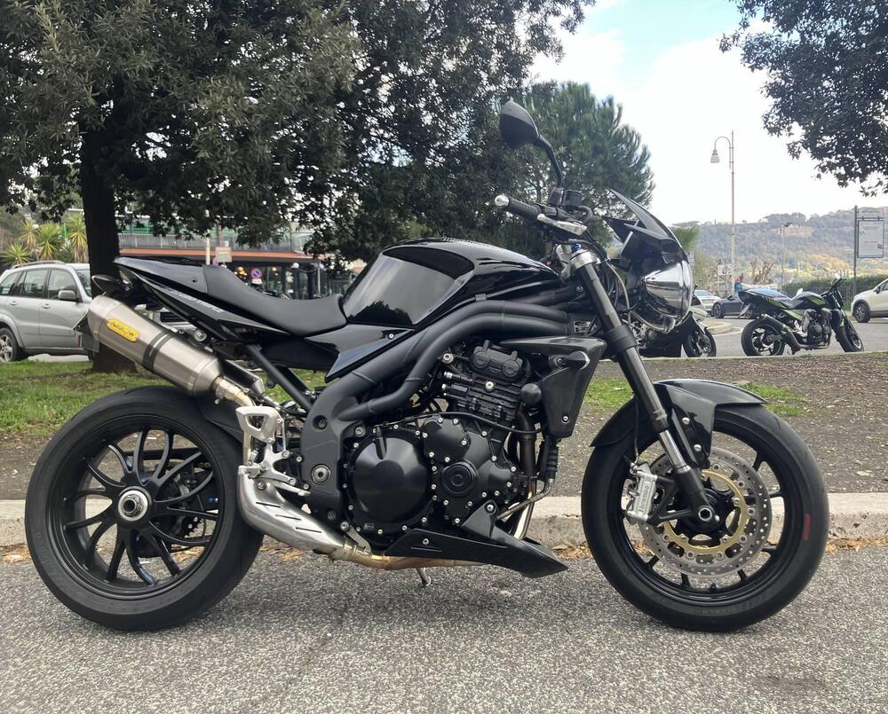 Triumph Speed Triple 1050 SE 15th Anniversary (2009 -10) (3)
