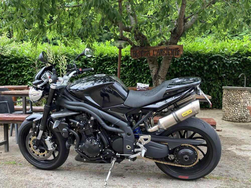 Triumph Speed Triple 1050 SE 15th Anniversary (2009 -10) (6)