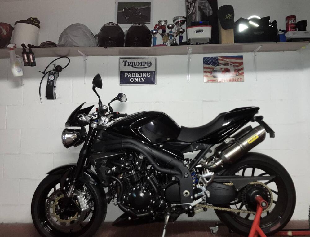 Triumph Speed Triple 1050 SE 15th Anniversary (2009 -10) (7)
