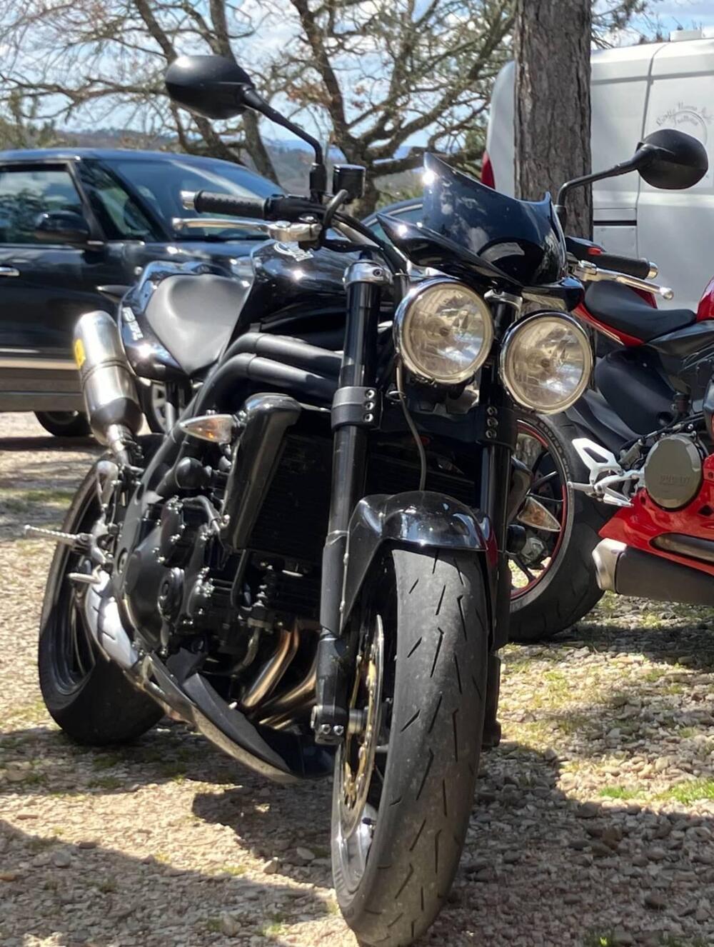 Triumph Speed Triple 1050 SE 15th Anniversary (2009 -10) (8)