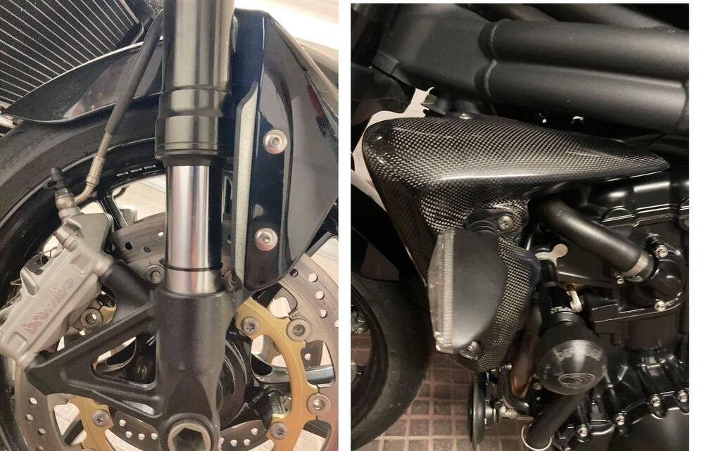 Triumph Speed Triple 1050 SE 15th Anniversary (2009 -10) (9)