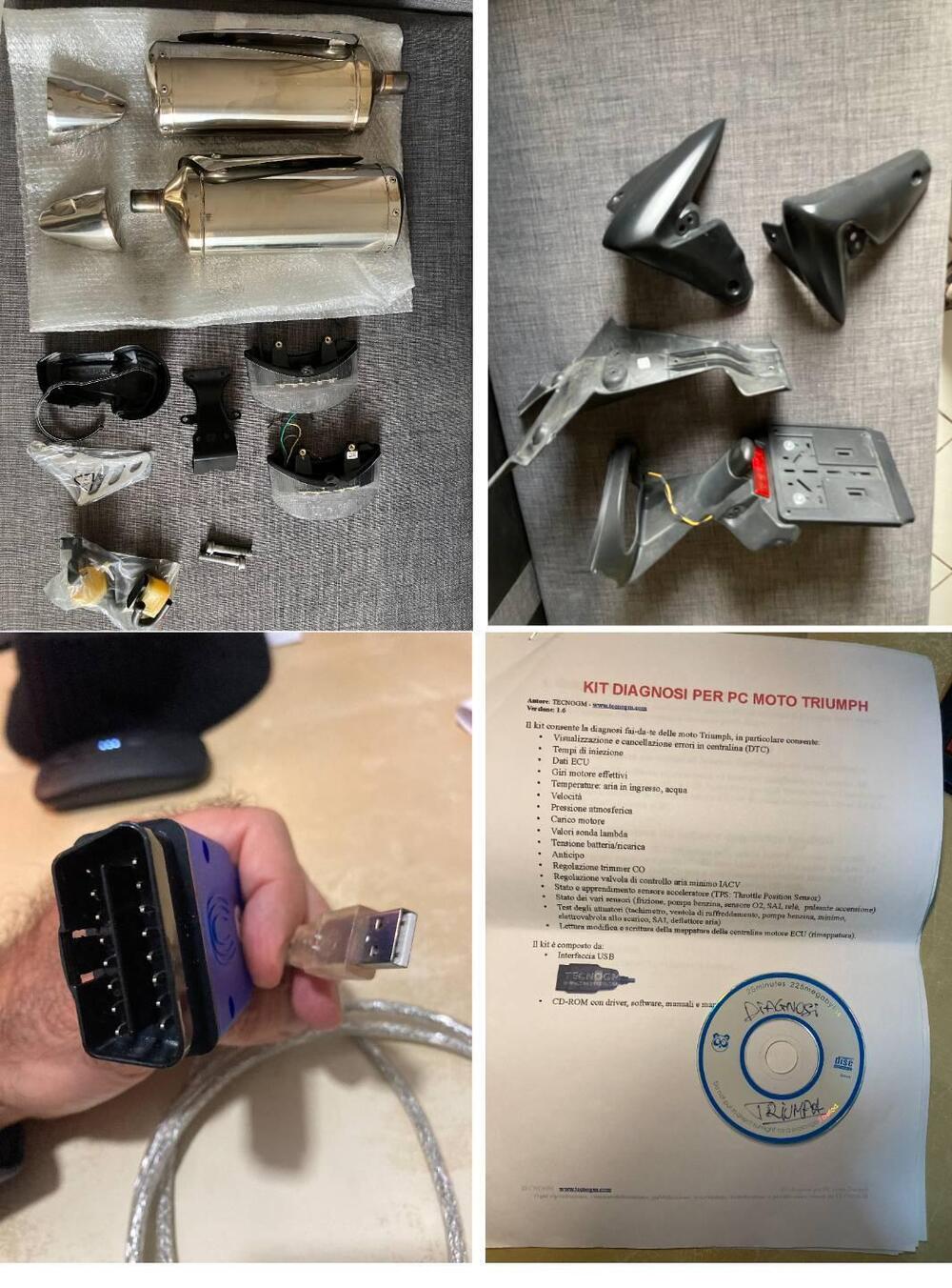 Triumph Speed Triple 1050 SE 15th Anniversary (2009 -10) (11)