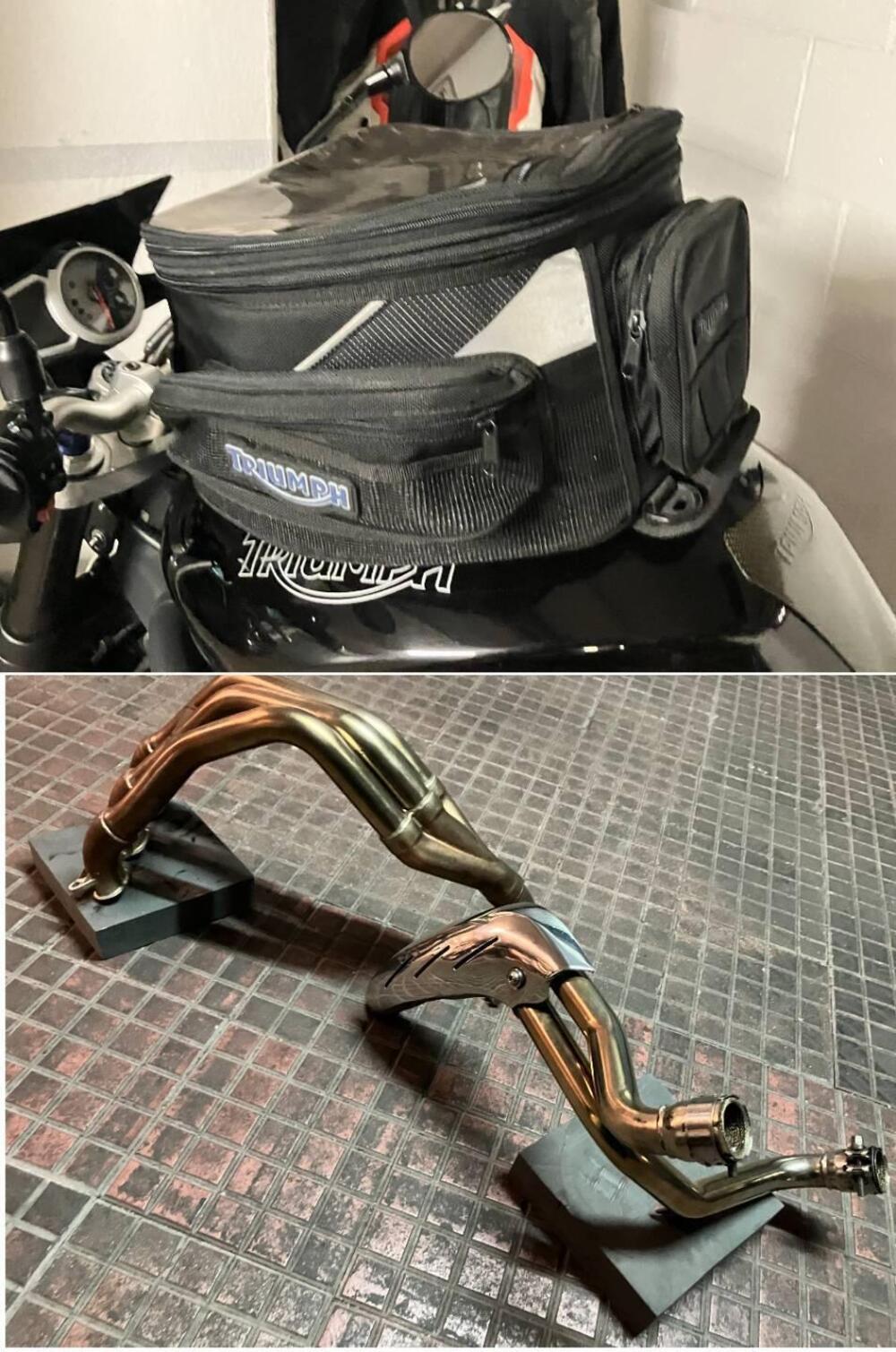 Triumph Speed Triple 1050 SE 15th Anniversary (2009 -10) (12)