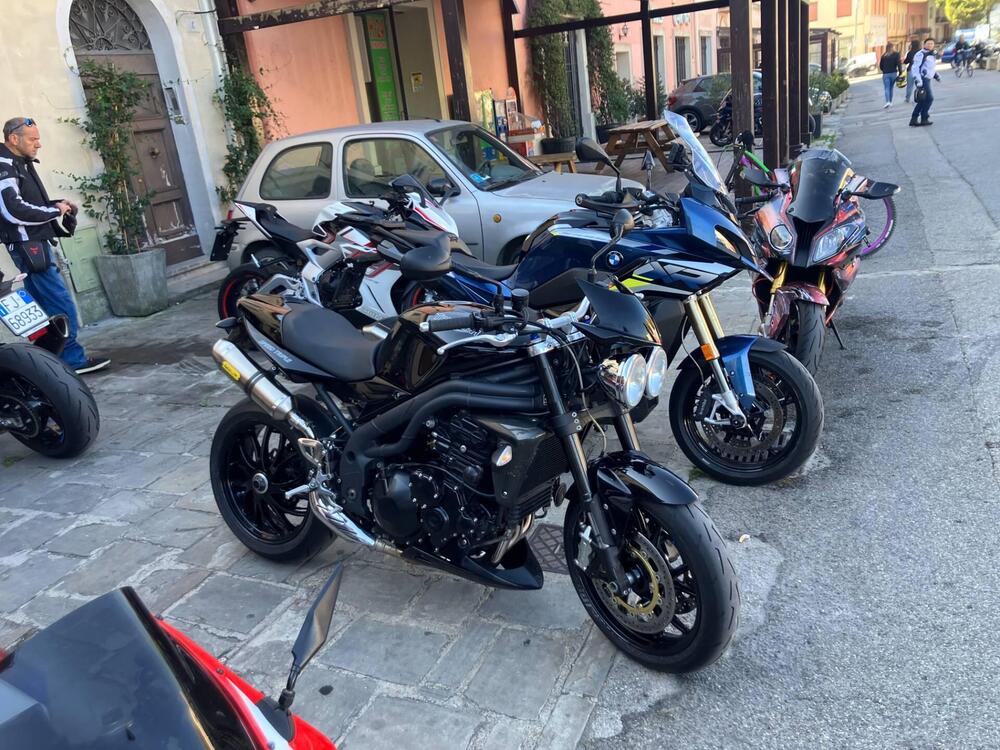 Triumph Speed Triple 1050 SE 15th Anniversary (2009 -10) (13)