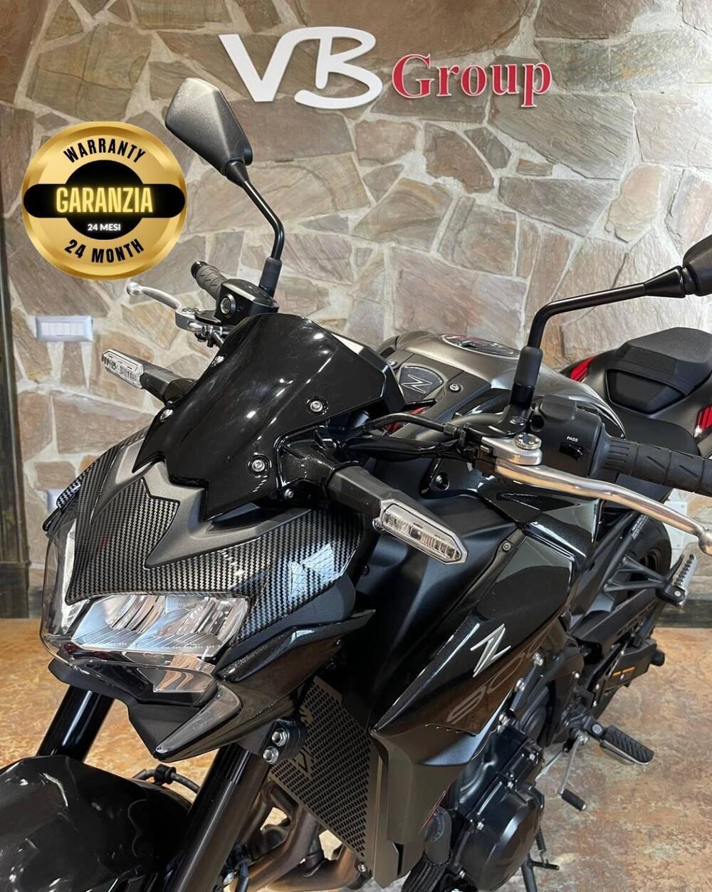 Kawasaki Z 900 (2021 - 24) (9)