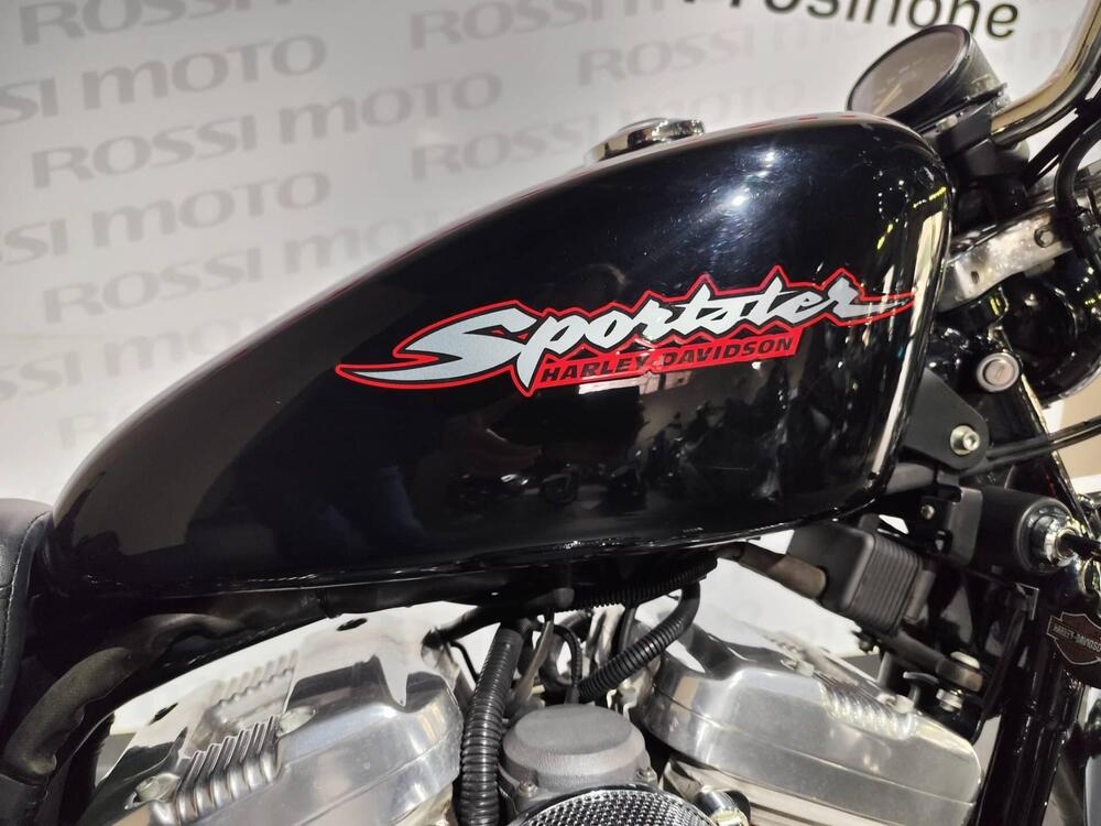 Harley-Davidson 883 (2006 - 07) - XL (2)