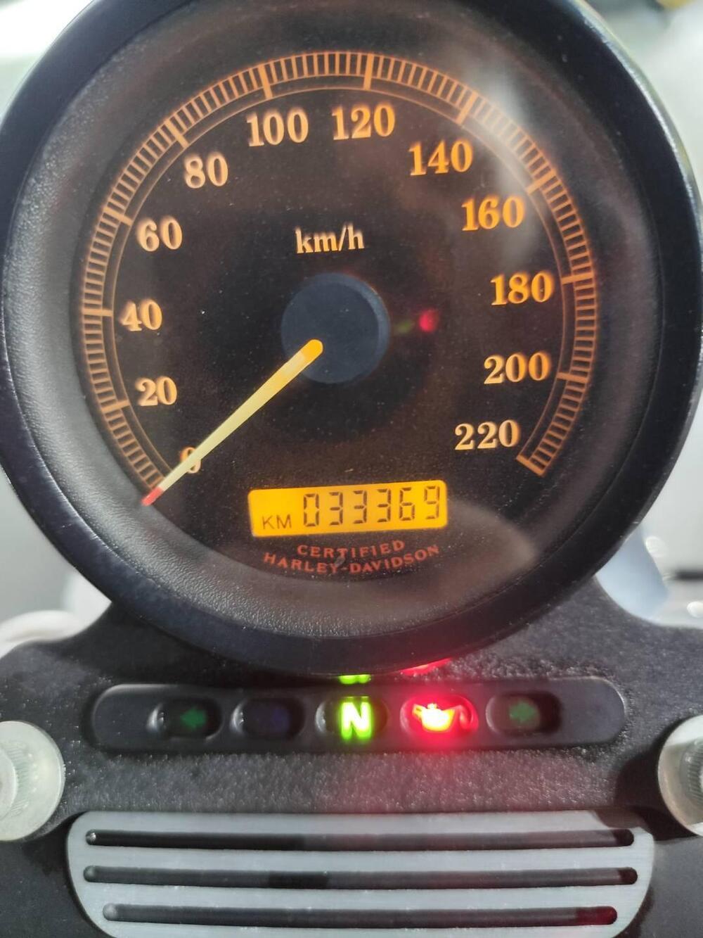 Harley-Davidson 883 (2006 - 07) - XL (10)