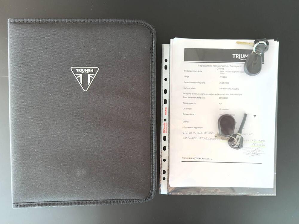 Triumph Tiger 1200 GT Explorer (2024 - 26) (19)