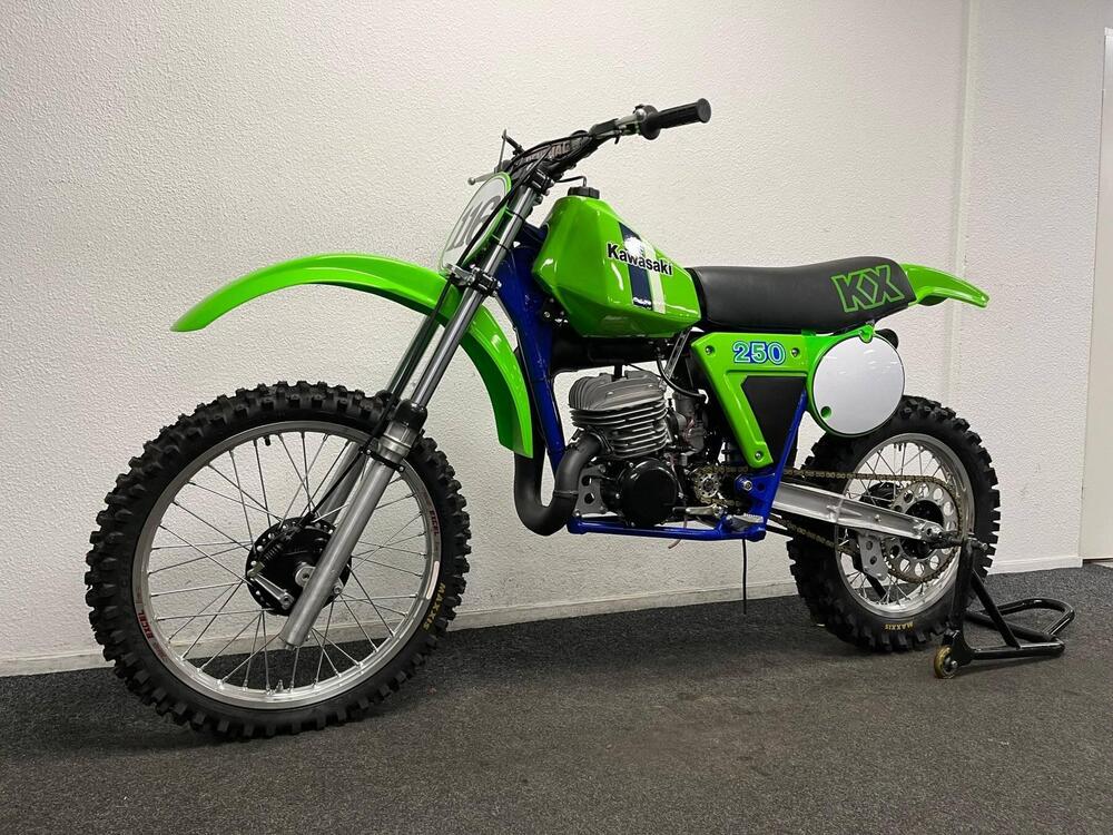Kawasaki KX 250 (1994 - 01) (2)