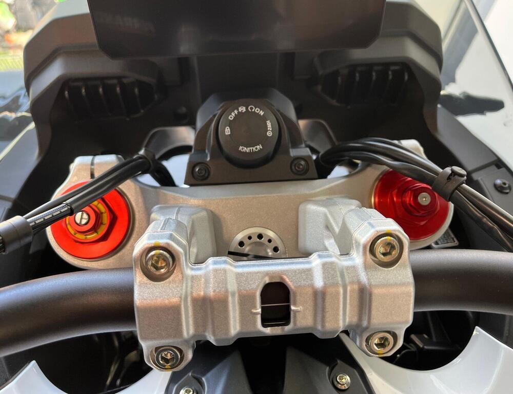 MV Agusta LXP Orioli (2024 - 26) (9)