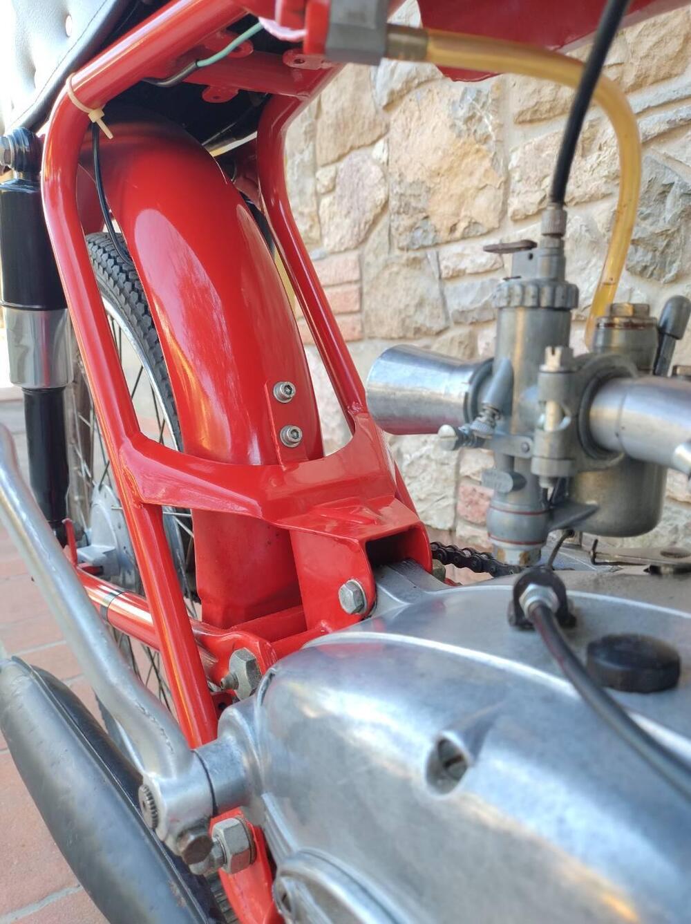 Malanca Nicki Sport Tubo, con libretto originale  (18)