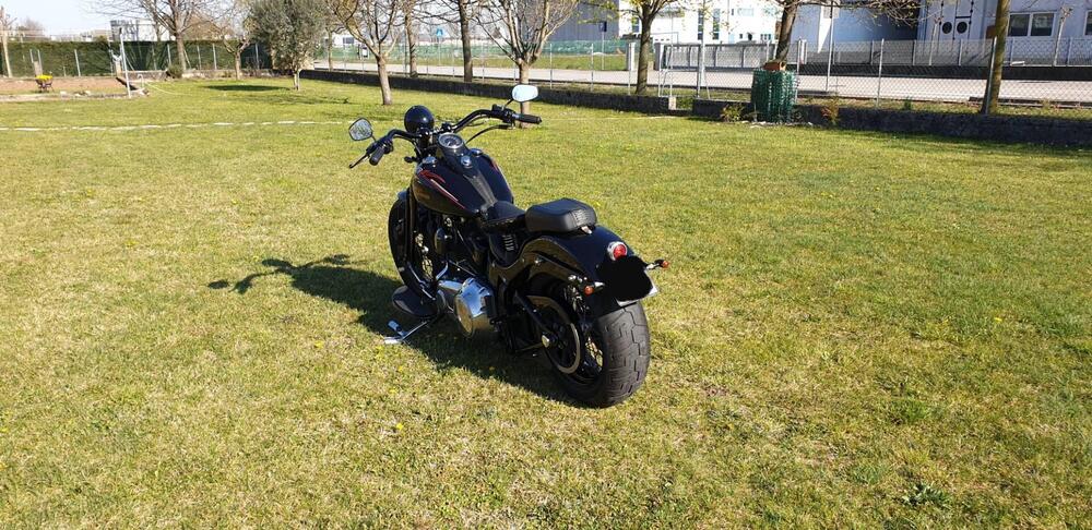 Harley-Davidson 1584 Cross Bones (2008 - 11) - FLSTSB (2)