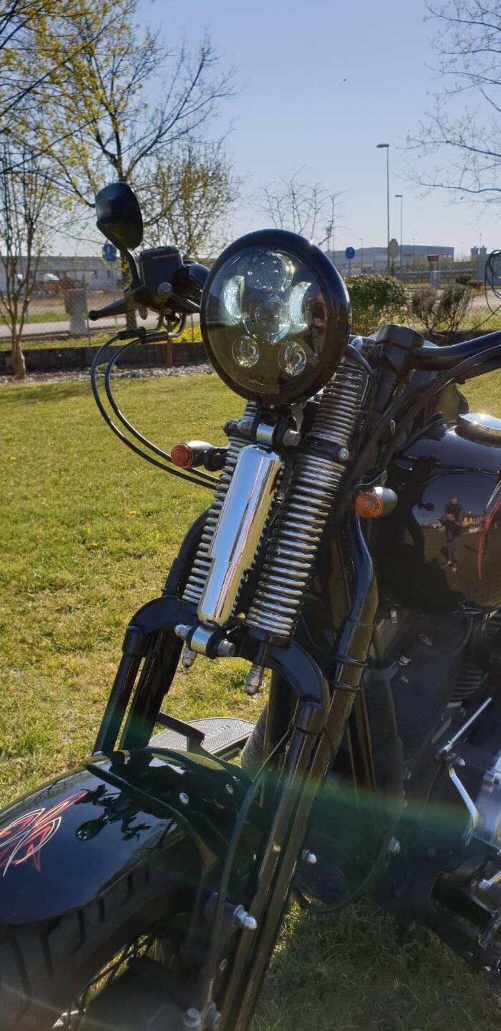 Harley-Davidson 1584 Cross Bones (2008 - 11) - FLSTSB (3)