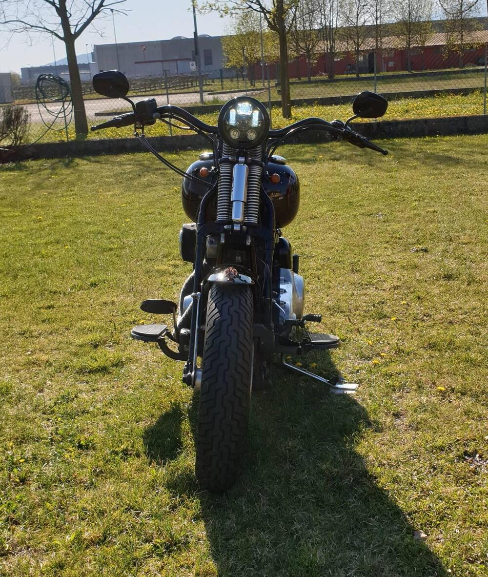 Harley-Davidson 1584 Cross Bones (2008 - 11) - FLSTSB (4)