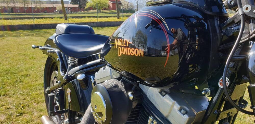 Harley-Davidson 1584 Cross Bones (2008 - 11) - FLSTSB (5)