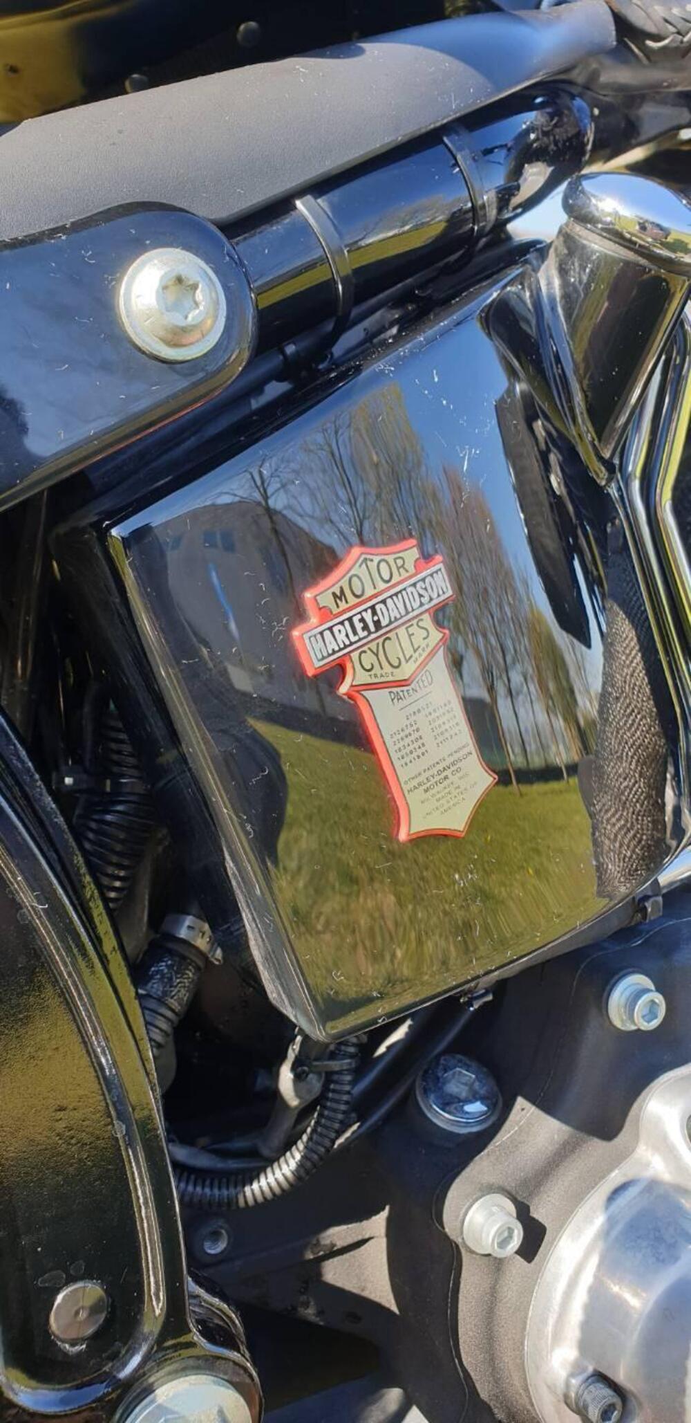 Harley-Davidson 1584 Cross Bones (2008 - 11) - FLSTSB (6)