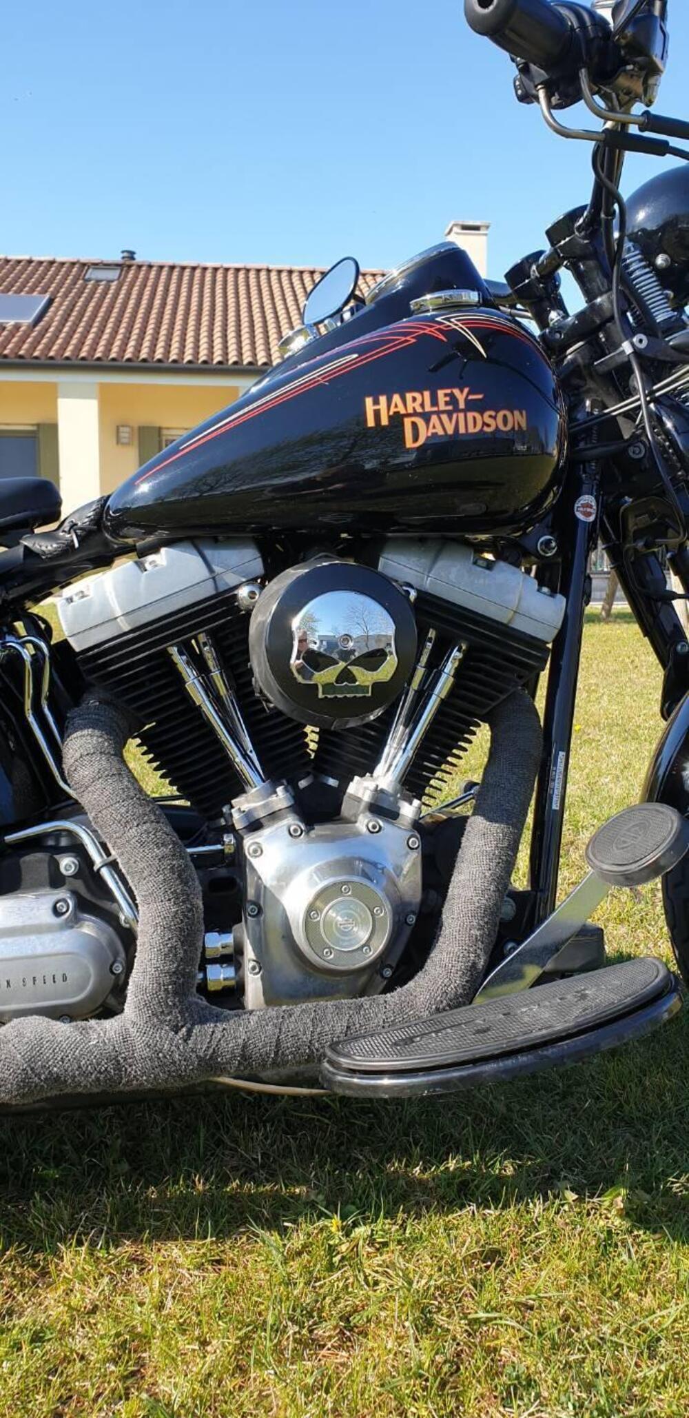 Harley-Davidson 1584 Cross Bones (2008 - 11) - FLSTSB (7)