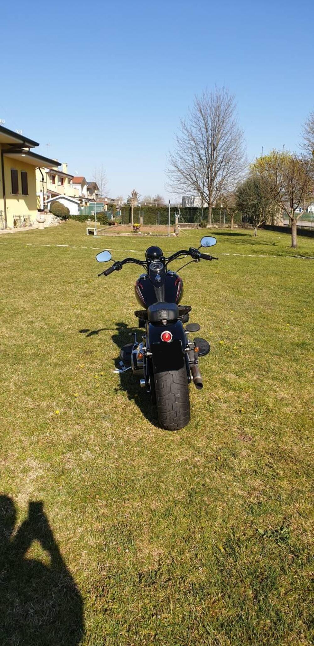 Harley-Davidson 1584 Cross Bones (2008 - 11) - FLSTSB (8)