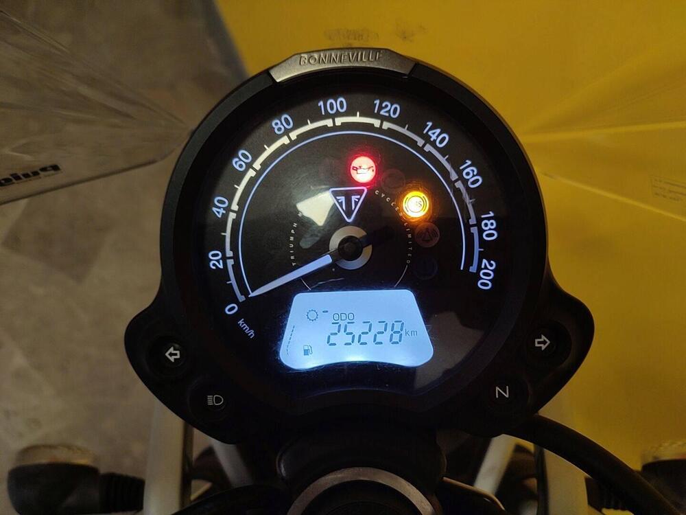 Triumph Street Scrambler 900 (2019 - 20) (5)