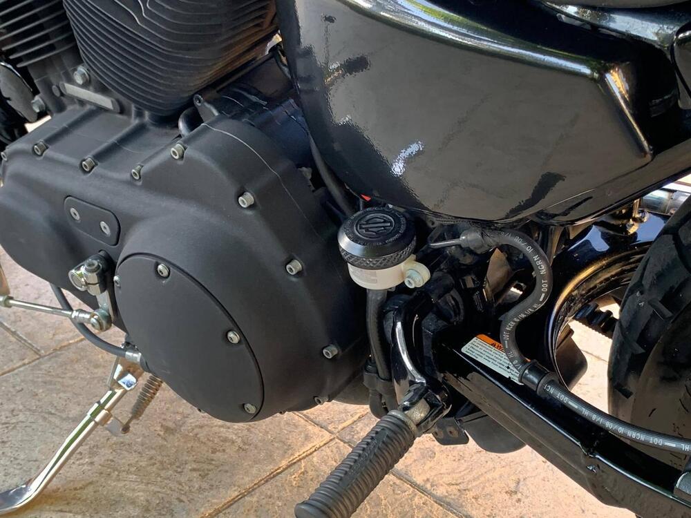 Harley-Davidson 883 Iron (2009 - 11) - XL 883N (2)