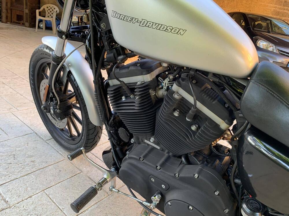 Harley-Davidson 883 Iron (2009 - 11) - XL 883N (5)