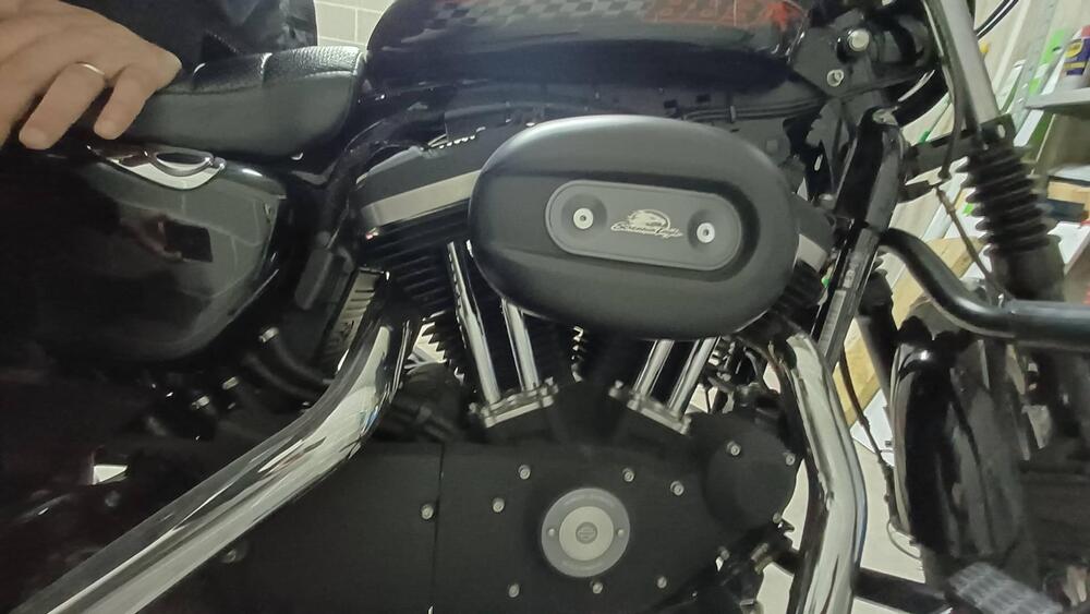 Harley-Davidson 883 R (2008 - 16) - XL 883R (10)