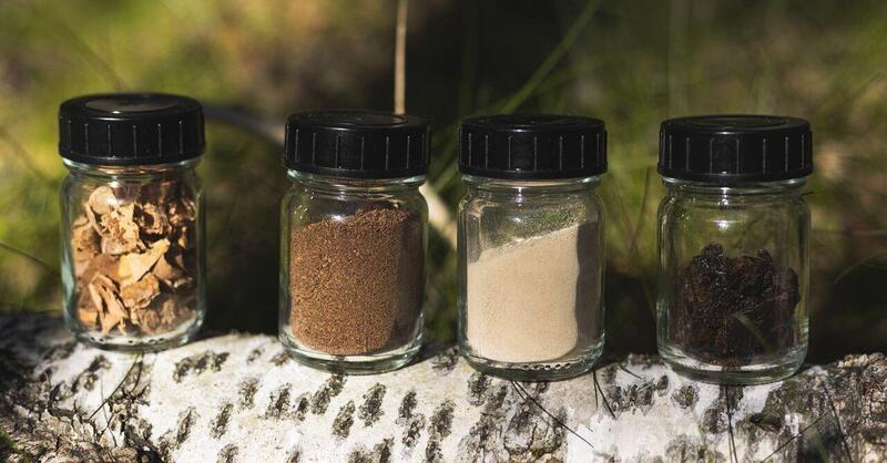 Nokian Tyres Betula: il primo pneumatico derivato dalla corteccia betulla