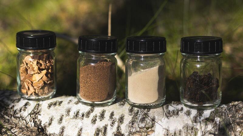 Nokian Tyres Betula: il primo pneumatico derivato dalla corteccia betulla