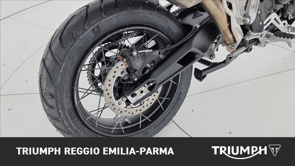 Triumph Tiger 900 Desert Special Edition (2026) (17)