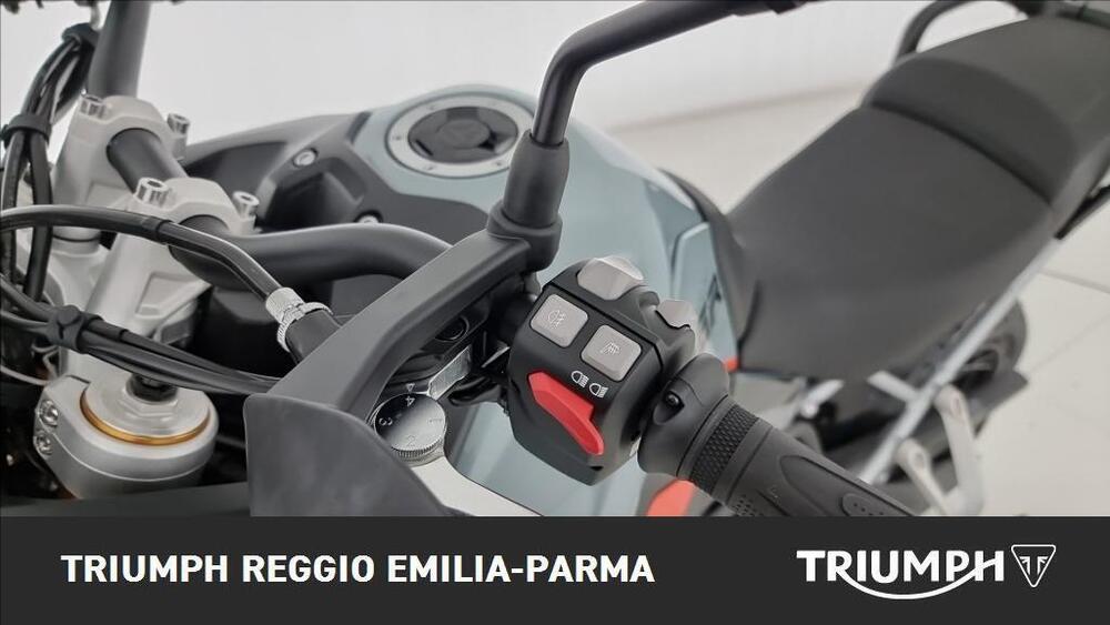 Triumph Tiger 900 Desert Special Edition (2026) (12)