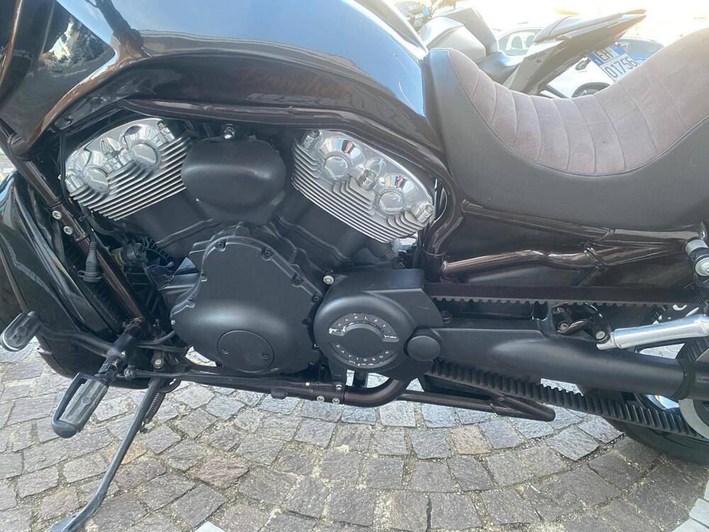 Harley-Davidson 1130 V-Rod (2002 - 05) - VRSCA (5)