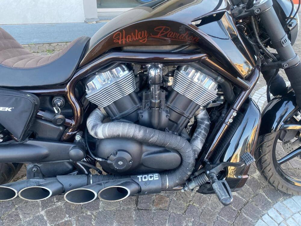 Harley-Davidson 1130 V-Rod (2002 - 05) - VRSCA (7)