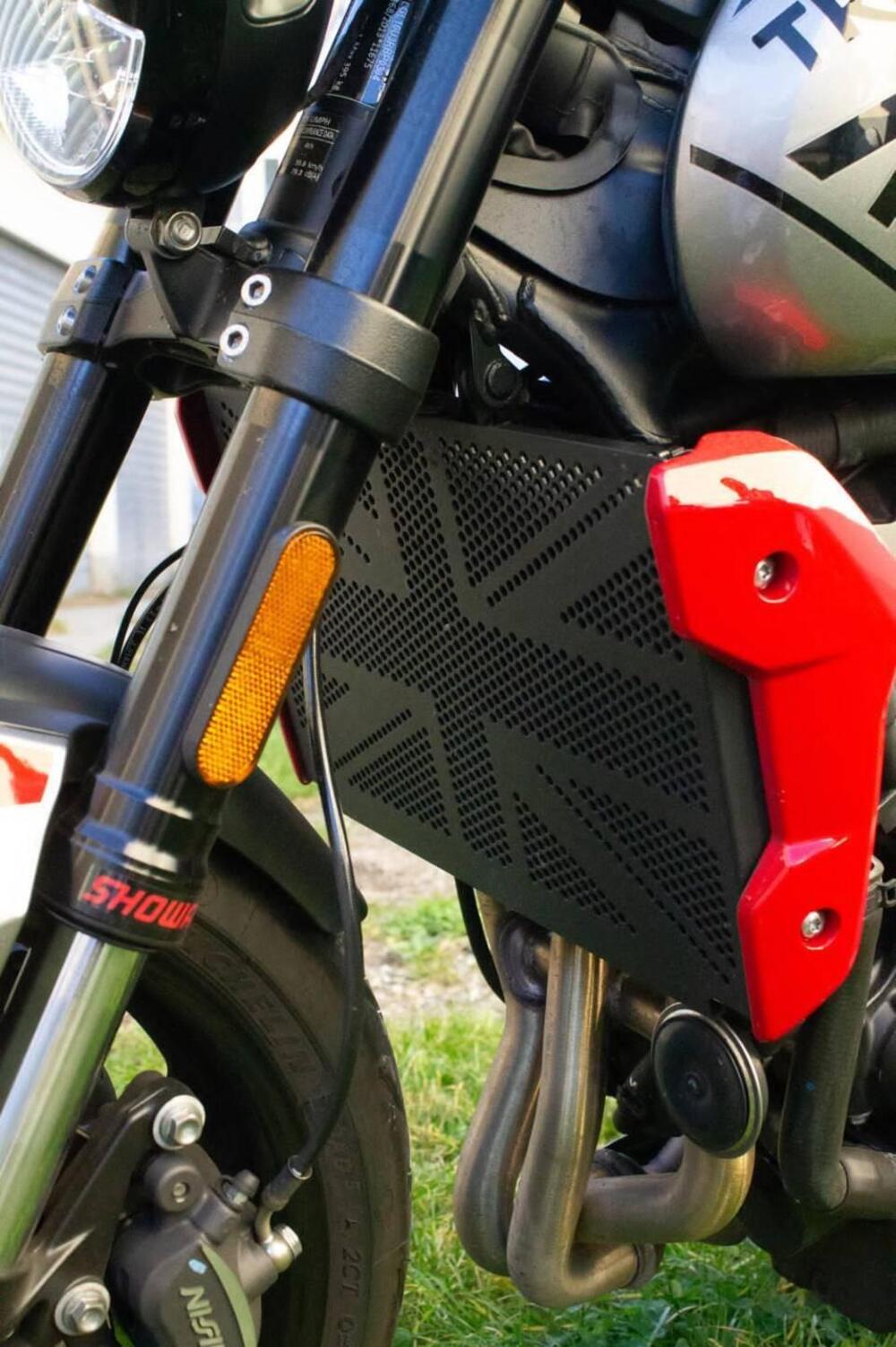 Triumph Trident 660 (2021 - 24) (5)