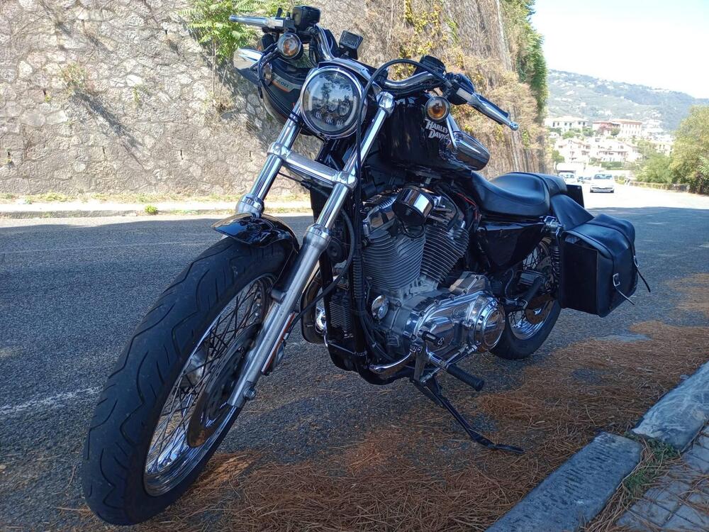 Harley-Davidson 883 Custom (2006 - 07) - XL 883C (2)