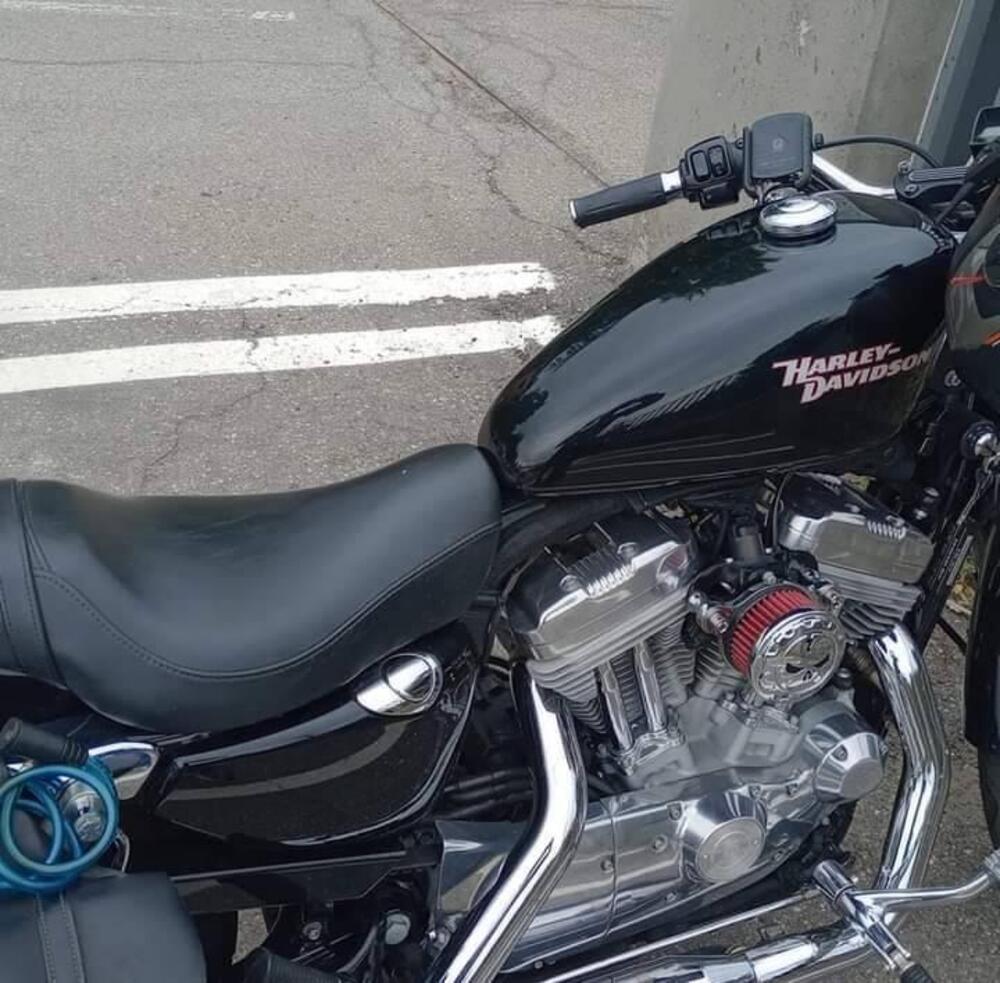 Harley-Davidson 883 Custom (2006 - 07) - XL 883C (4)