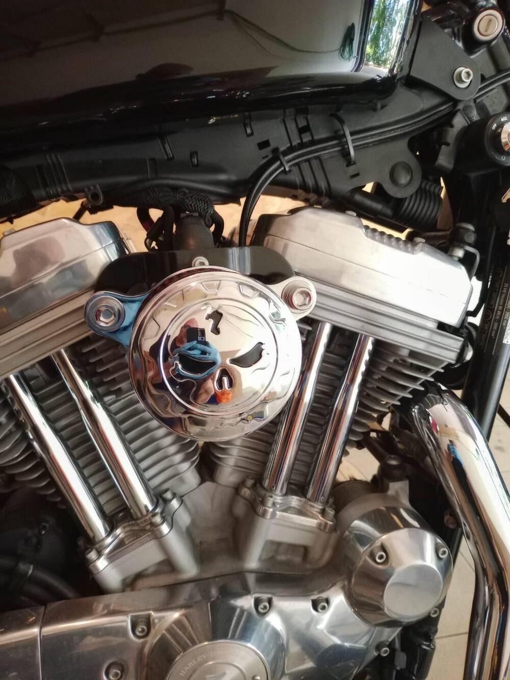 Harley-Davidson 883 Custom (2006 - 07) - XL 883C (6)