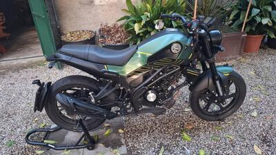 Benelli Leoncino 125 (2022 - 25) usata