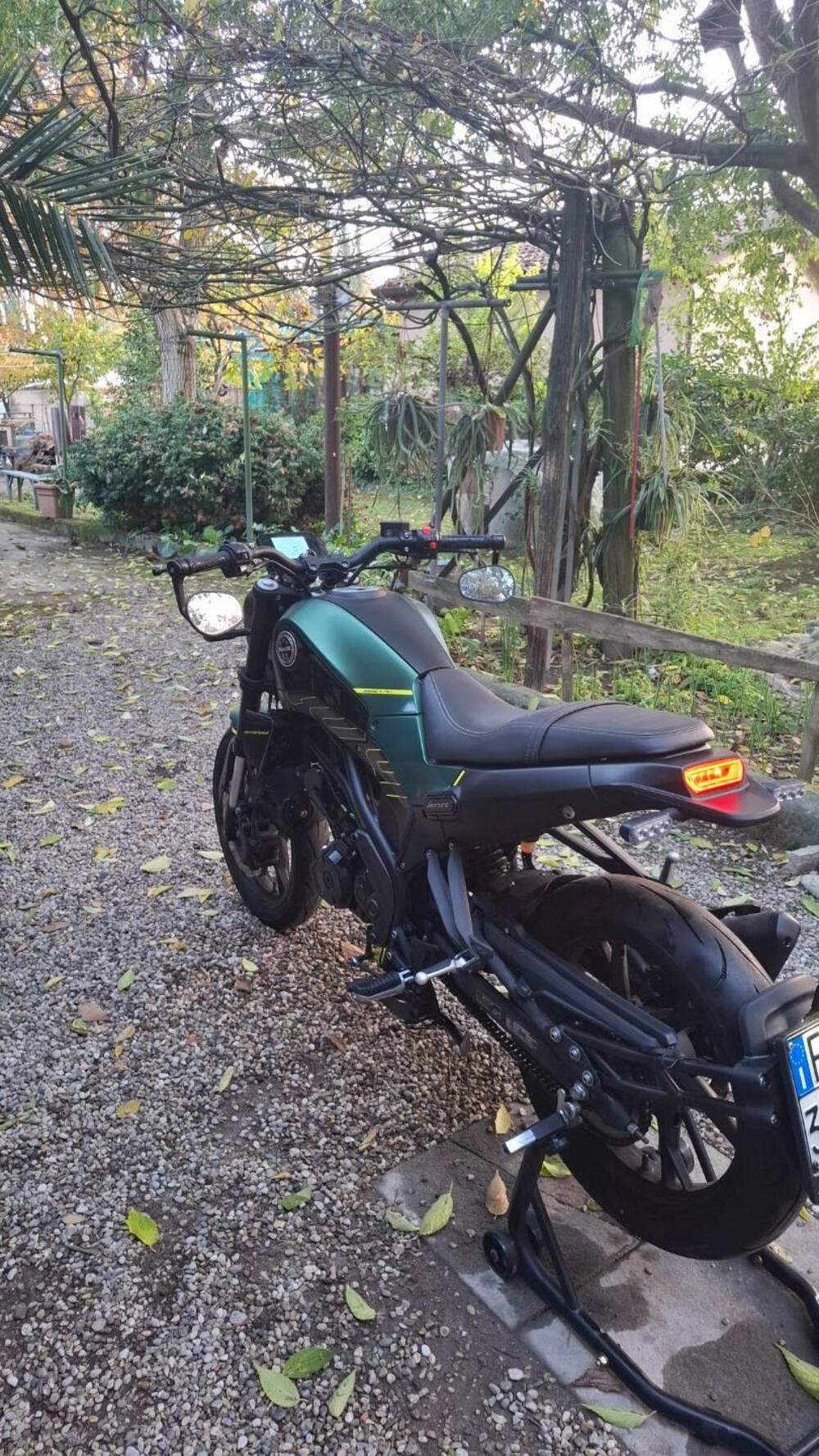 Benelli Leoncino 125 (2022 - 25) (2)