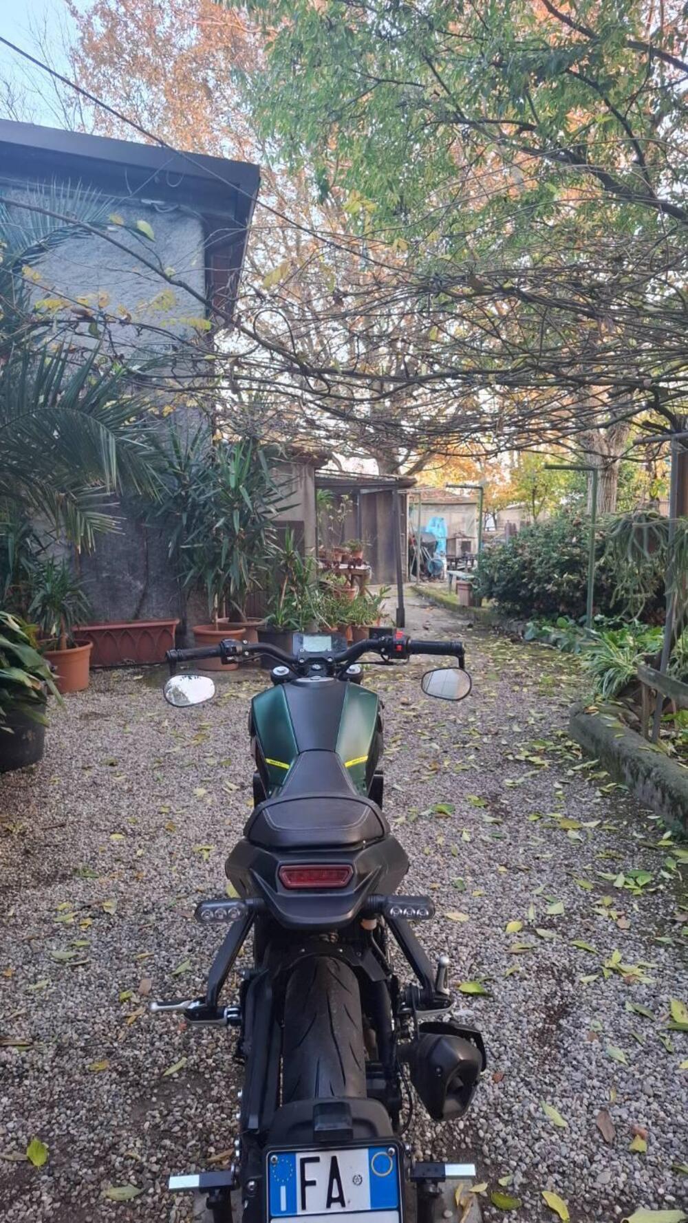 Benelli Leoncino 125 (2022 - 25) (3)