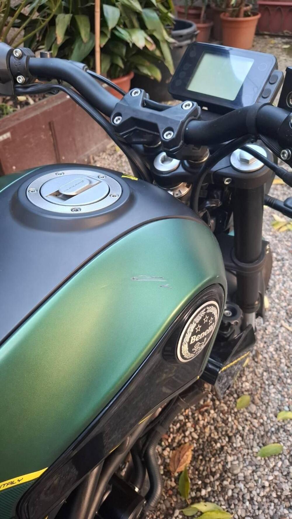 Benelli Leoncino 125 (2022 - 25) (4)