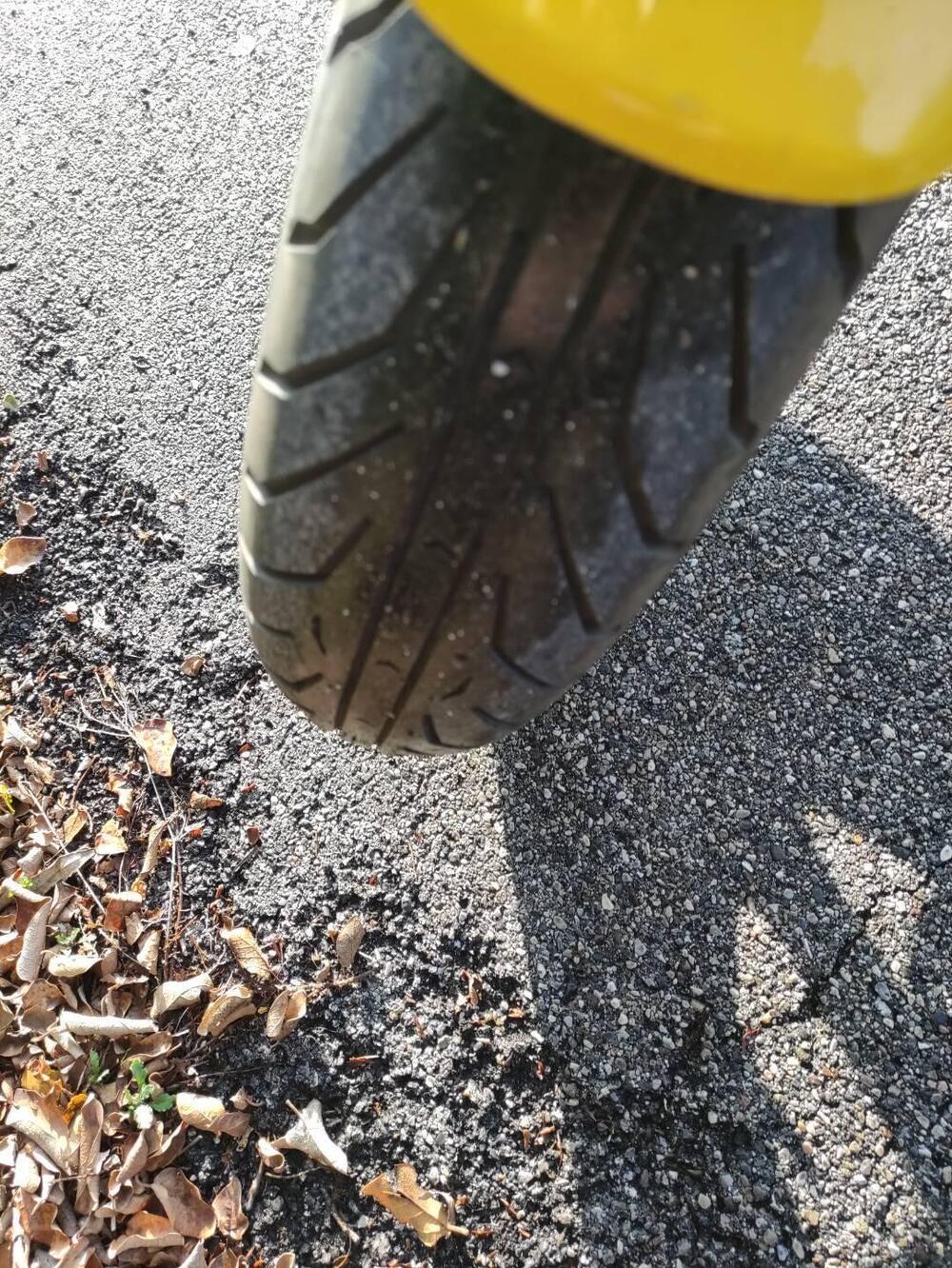 Suzuki SV 650 (1999 - 02) (12)