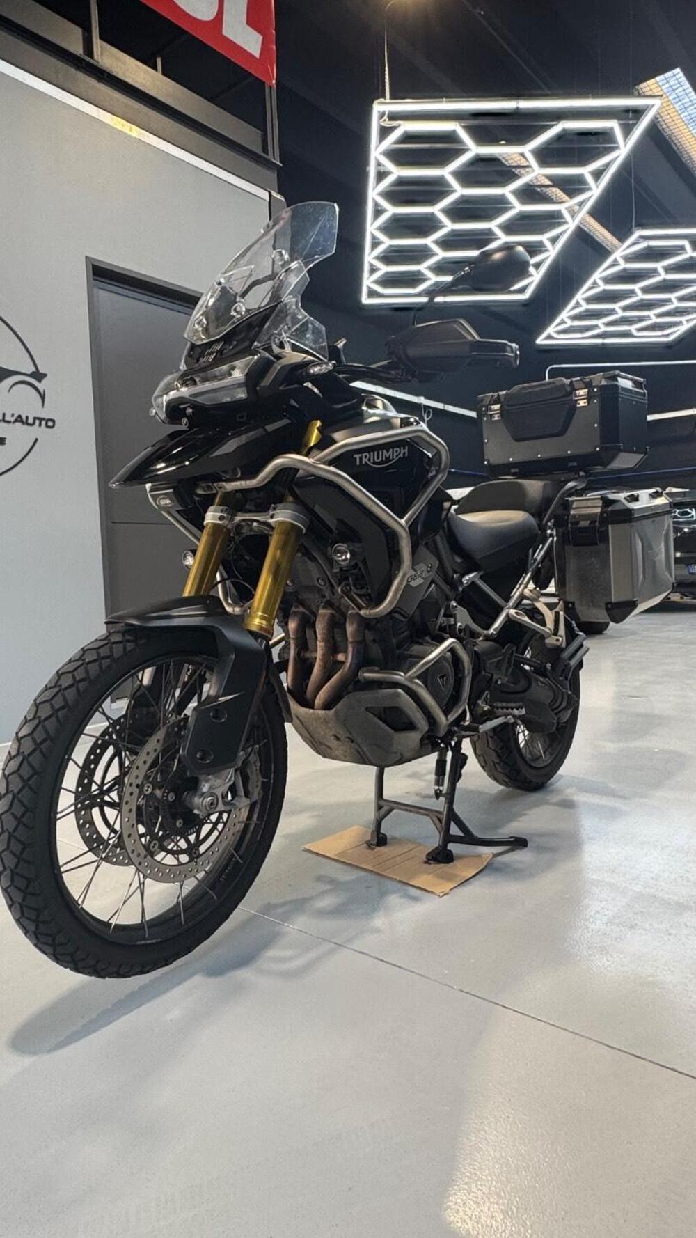 Triumph Tiger 1200 Rally Pro (2022 - 23) (12)