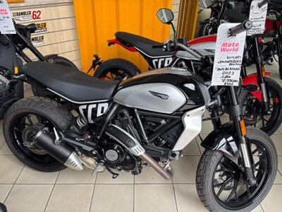 Ducati Scrambler 800 Icon (2023 - 24) usata