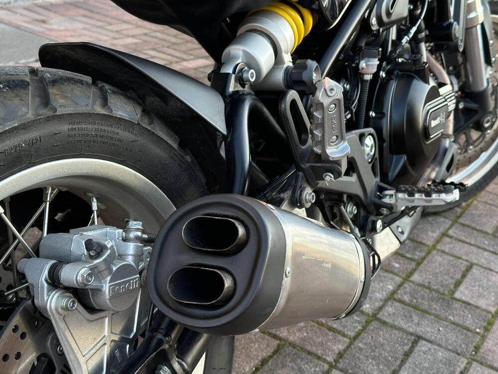 Benelli Leoncino 500 Trail (2021 - 26) (6)