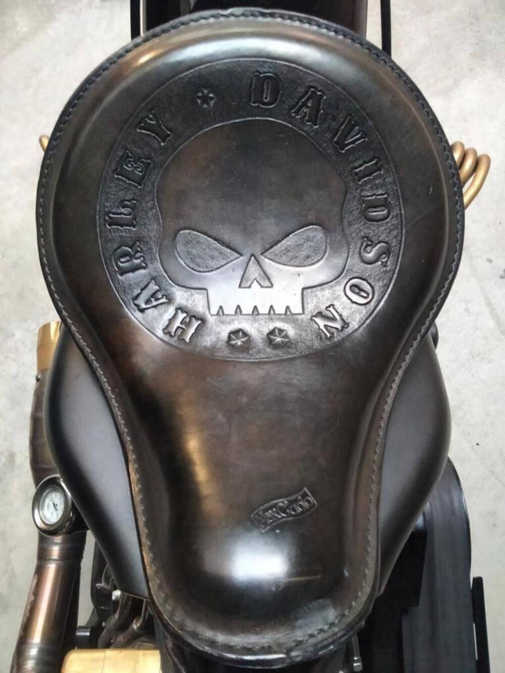 Harley-Davidson 1584 Blackline (2011 - 13) - FXS (6)