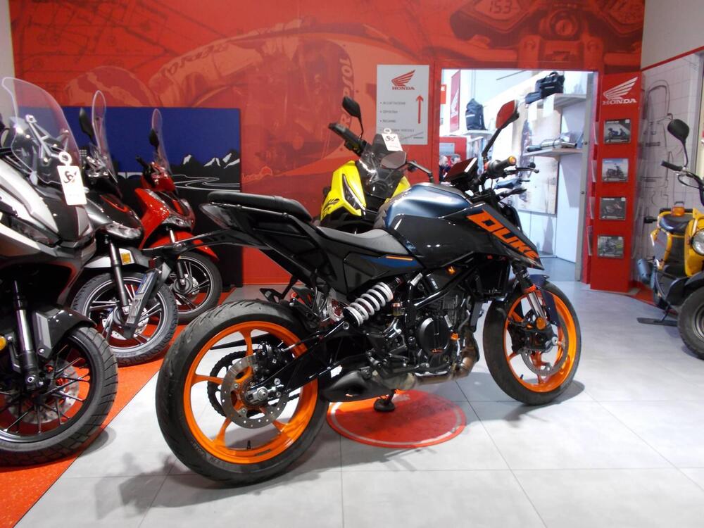 KTM 125 Duke (2024 - 25) (10)