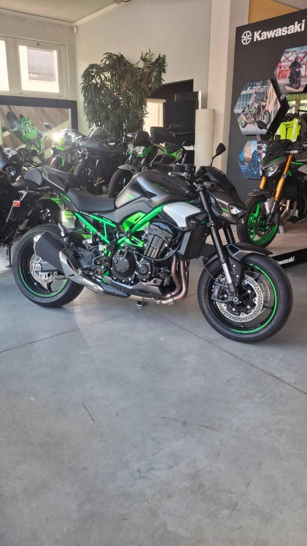 Kawasaki Z 900 (2025 - 26)