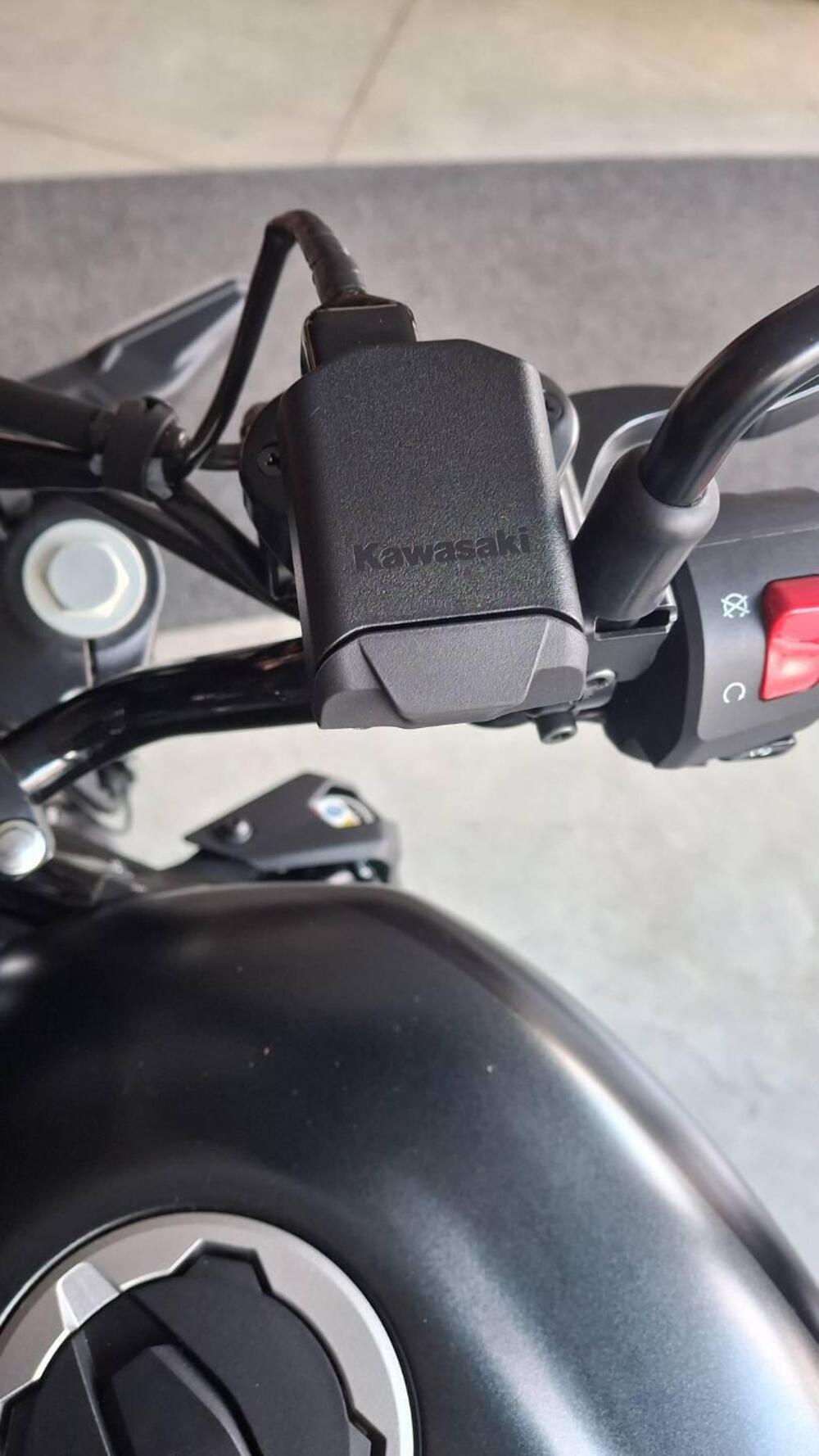 Kawasaki Eliminator 500 SE (2024 - 26) (4)