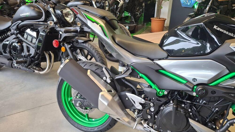 Kawasaki Z 500 SE (2024 - 26) (5)