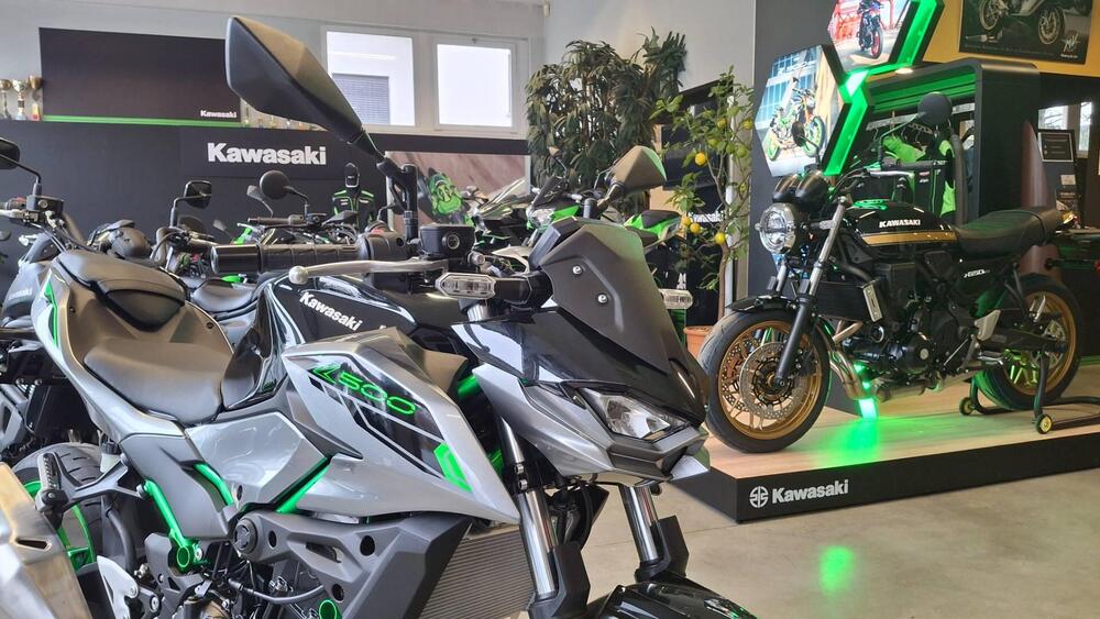 Kawasaki Z 500 SE (2024 - 26) (3)